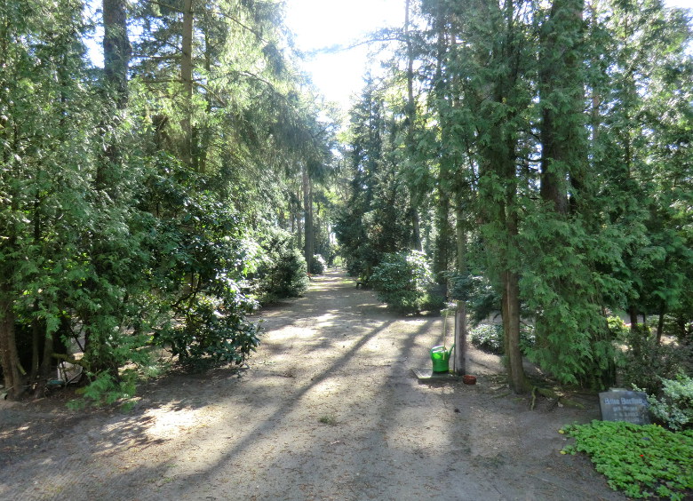 Friedhof Buchholz (Aller)