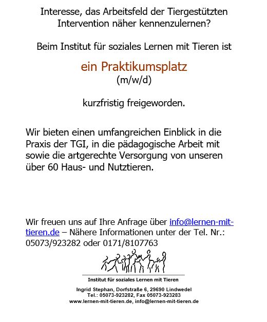 freiwilligen-2022-11-praktikant